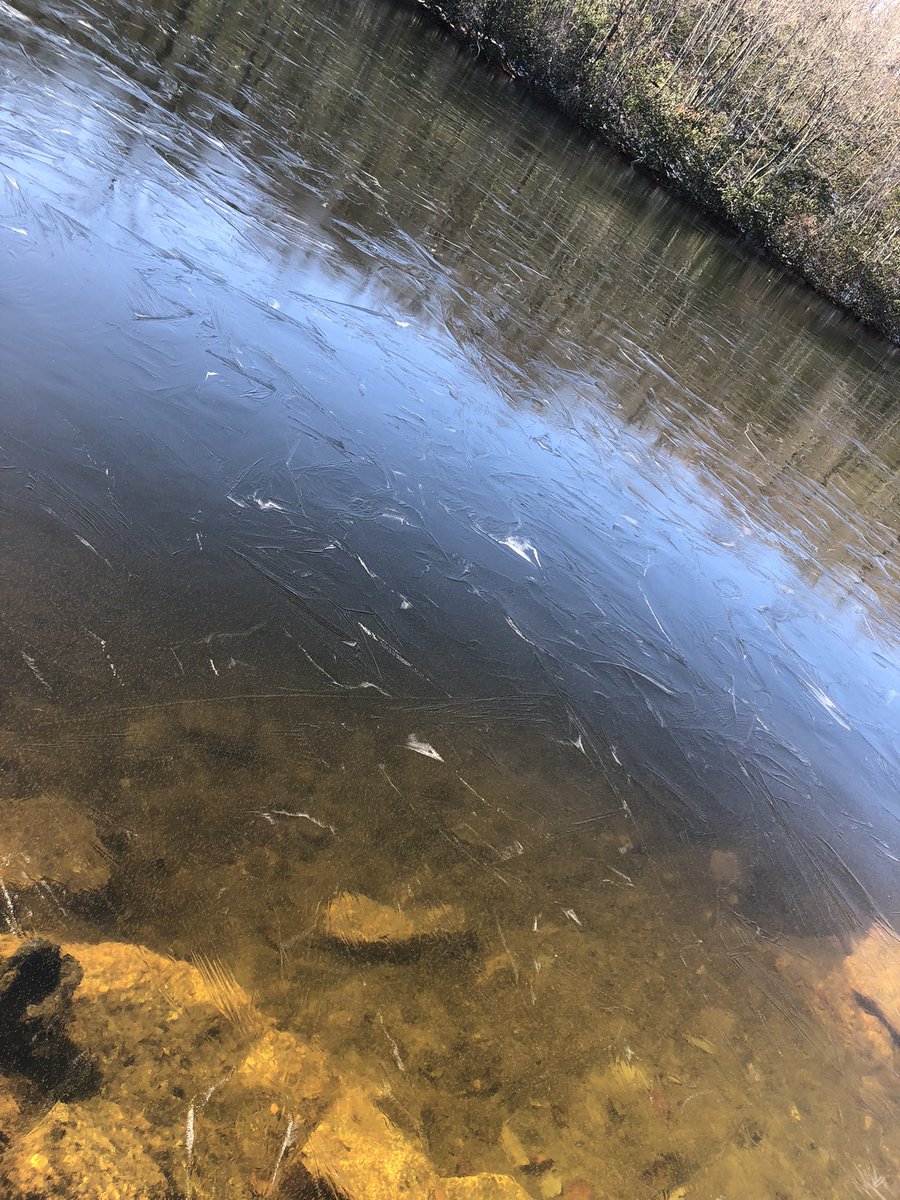 epauld's tweet image. Ice covering most of the lake ! Early this year but probably will melt again. Looking forward to skating Hope it’s a good year !
#ice #skating #winter
