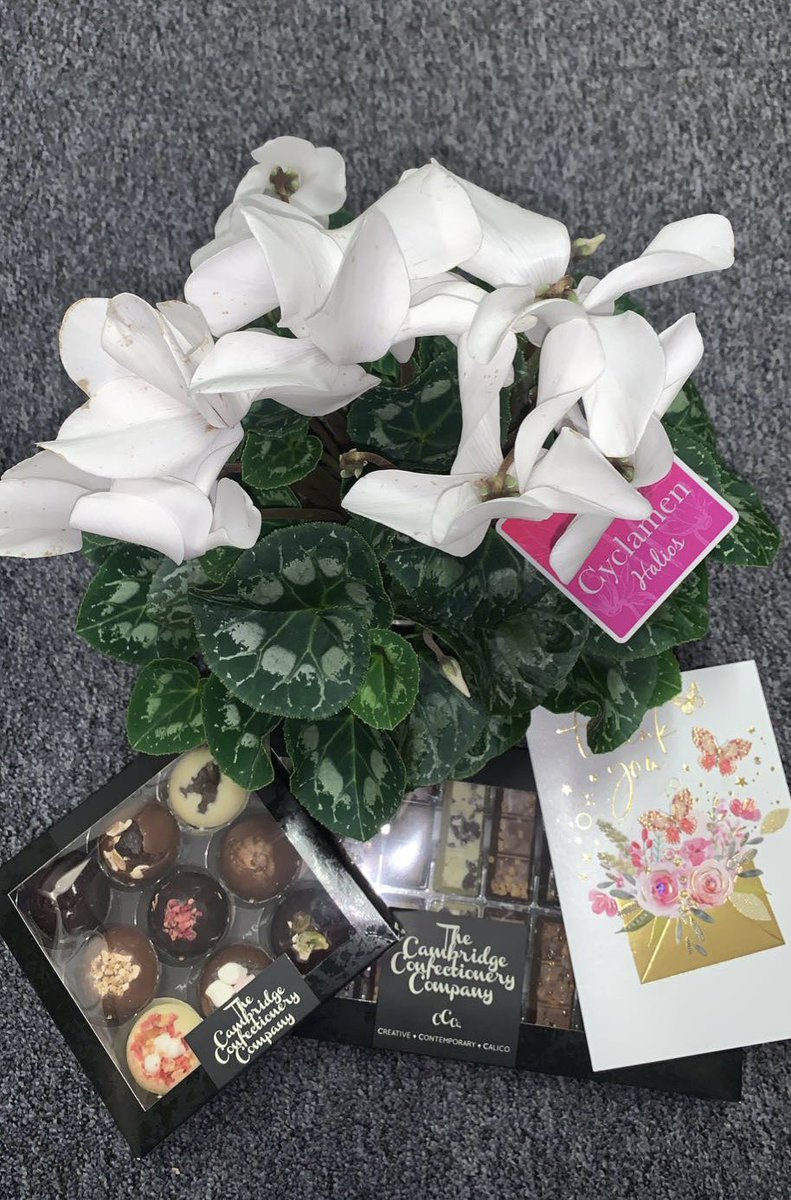 A beautiful gift received from a loving relative as a thank you for outstanding palliative care🕊️