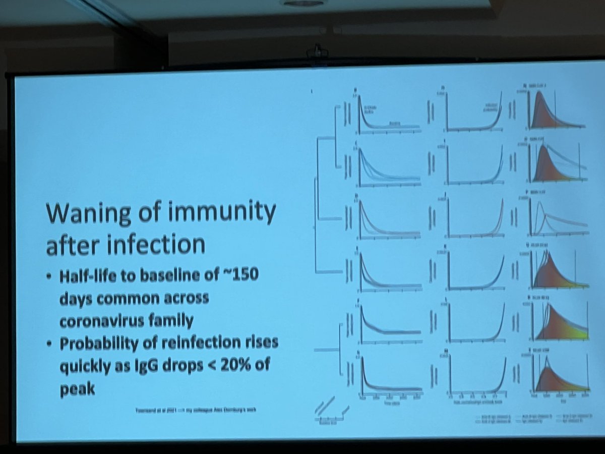 mason_lab's tweet photo. The half-life of functional immunity for many viruses is about 150 days in the population, and Cynthia Gibas is also tracking this trend in wastewater at #metasub22 https://t.co/CQOO63nyAt