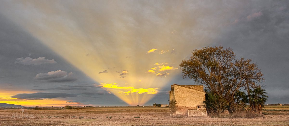piliriuss's tweet image. Espectacular els rajos anticrepusculars d'avui al #deltadelebre ,sense paraules. #laldea @ARAmeteo @eltempsTV3 #ElTempsTV3 @TomasMolinaB @Vakapiupiu @MeteoMauri @ame_asociacion @tiempobrasero #tutiempo @ElTiempoA3 @MeteoredES @marcredondo @AlfredRPico
