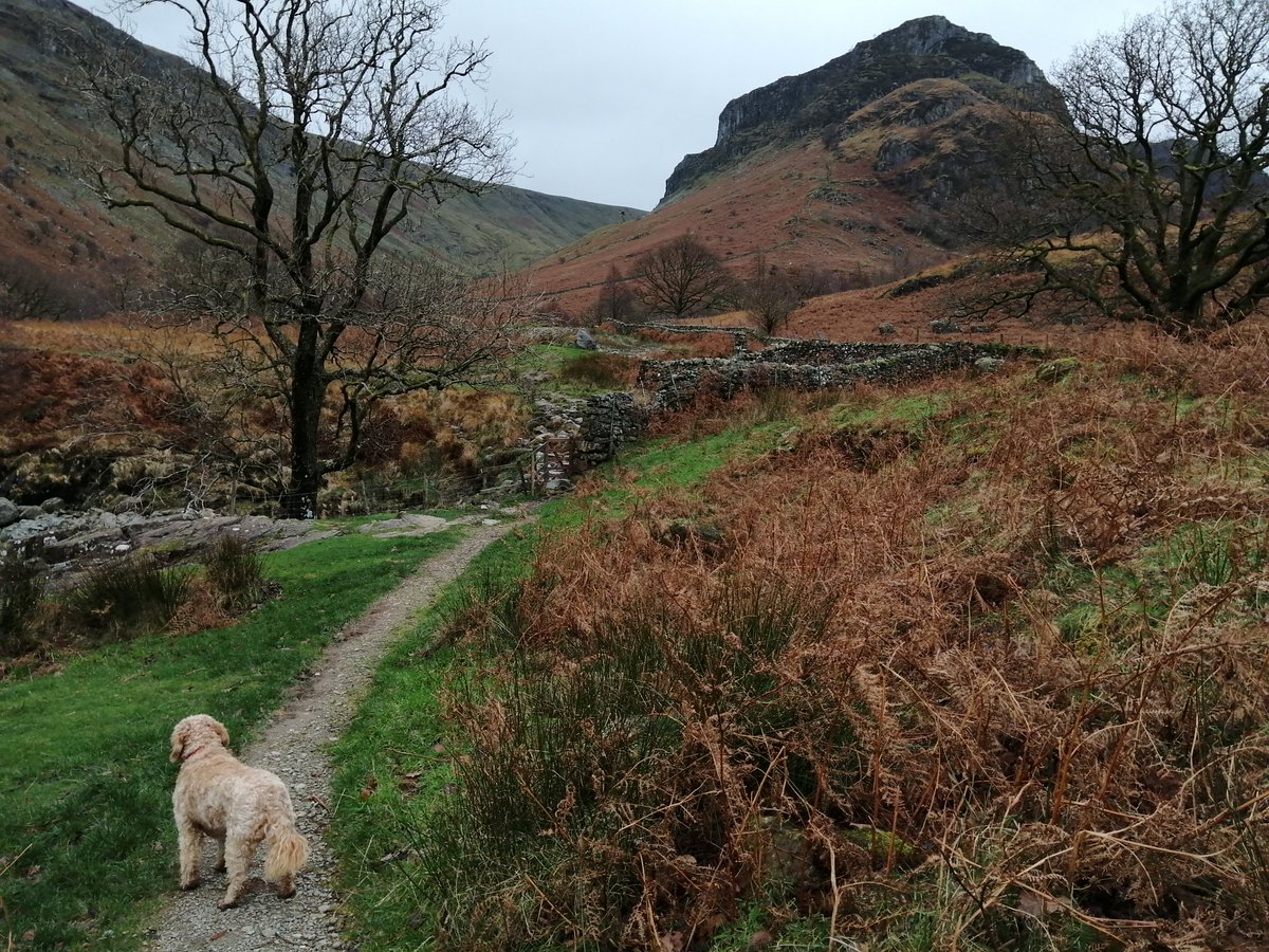 LinnettHill's tweet photo. The #Langstrath Valley was our walk today... Really wet underfoot and a bit wild at times when the wind got up but we managed a dry walk and more importantly a dry picnic too 😁
#Keswick #Borrowdale #TheLakeDistrict #Cumbria https://t.co/MyUARPjwm2
