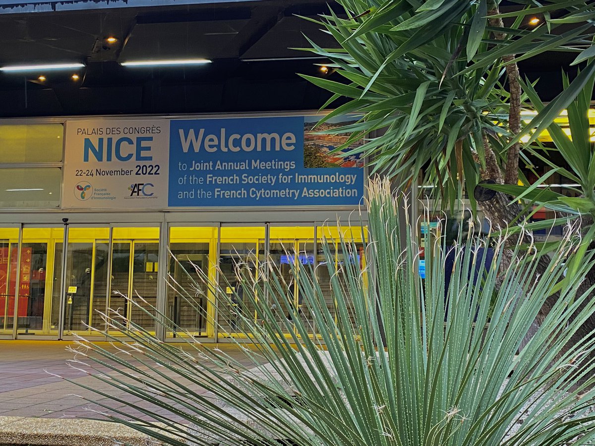 sfiimmunologie's tweet image. Looking forward to see you all tomorrow #sfiafc2022 for enjoying science #Nice! 
@afc_cytometrie @y_efis @FCYImmuno @dgfi_org @SiicaI @DsiNvvi @Irishimmunology @EFIS_Immunology @iuis_online @CanceropolePACA @MaRegionSud @SFCancer75 @CNRS_DR20