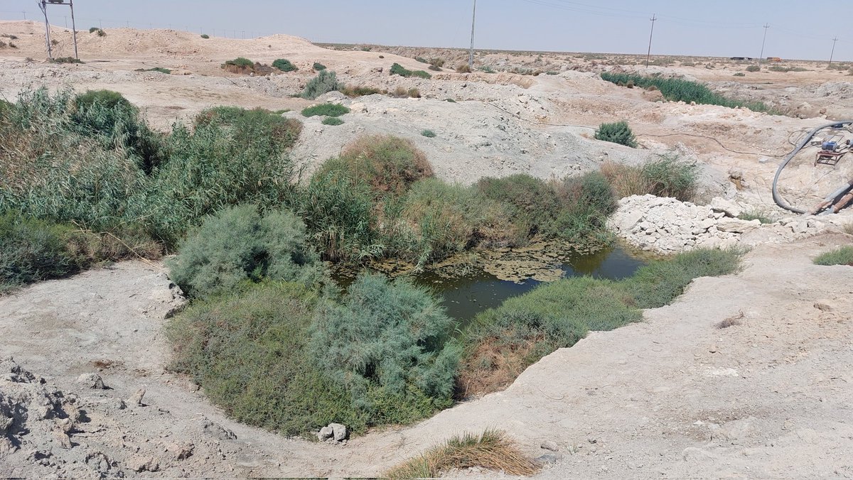 JaafarJotheri's tweet photo. More than 50 natural water springs have dried. #ClimateCrisis and water mismanagement have caused that in the #Iraqi western desert 🏜. For 100 of years, these springs were feeding many villages and bedouins in Iraq. Imagine the consequences of that on people and nature. https://t.co/iPilZqeOaV