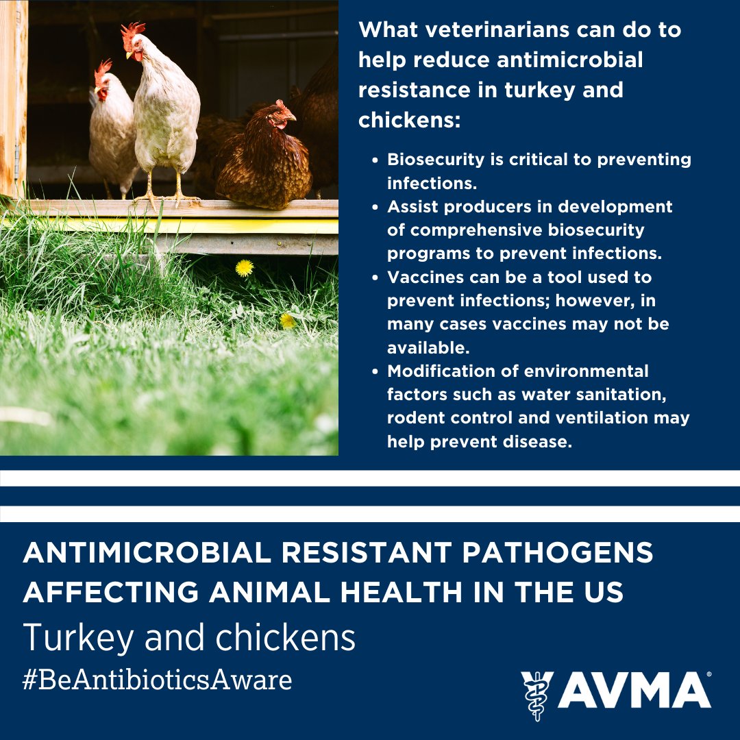 Tweet by AVMA (American Veterinary Medical Association)