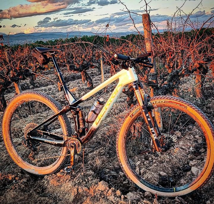 Tres primeres fotografies del repte de tardor!!!!