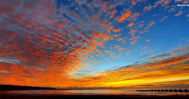 InstaCunit tweet media