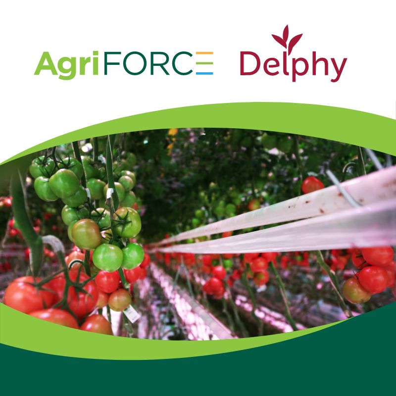 Together, AgriFORCE and Delphy aim to transform agriculture and AgTech across multiple markets globally. 
Learn more here: agriforcegs.com/2022/02/15/not…
#agriforce #delphy #agtech #agriculture #horticulture #plants #crops