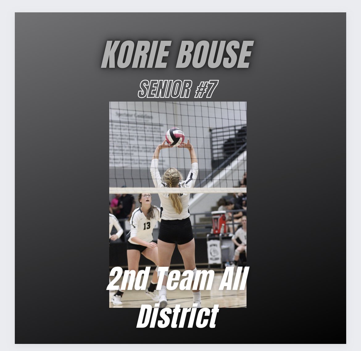 Howe Lady Bulldog Volleyball tweet media