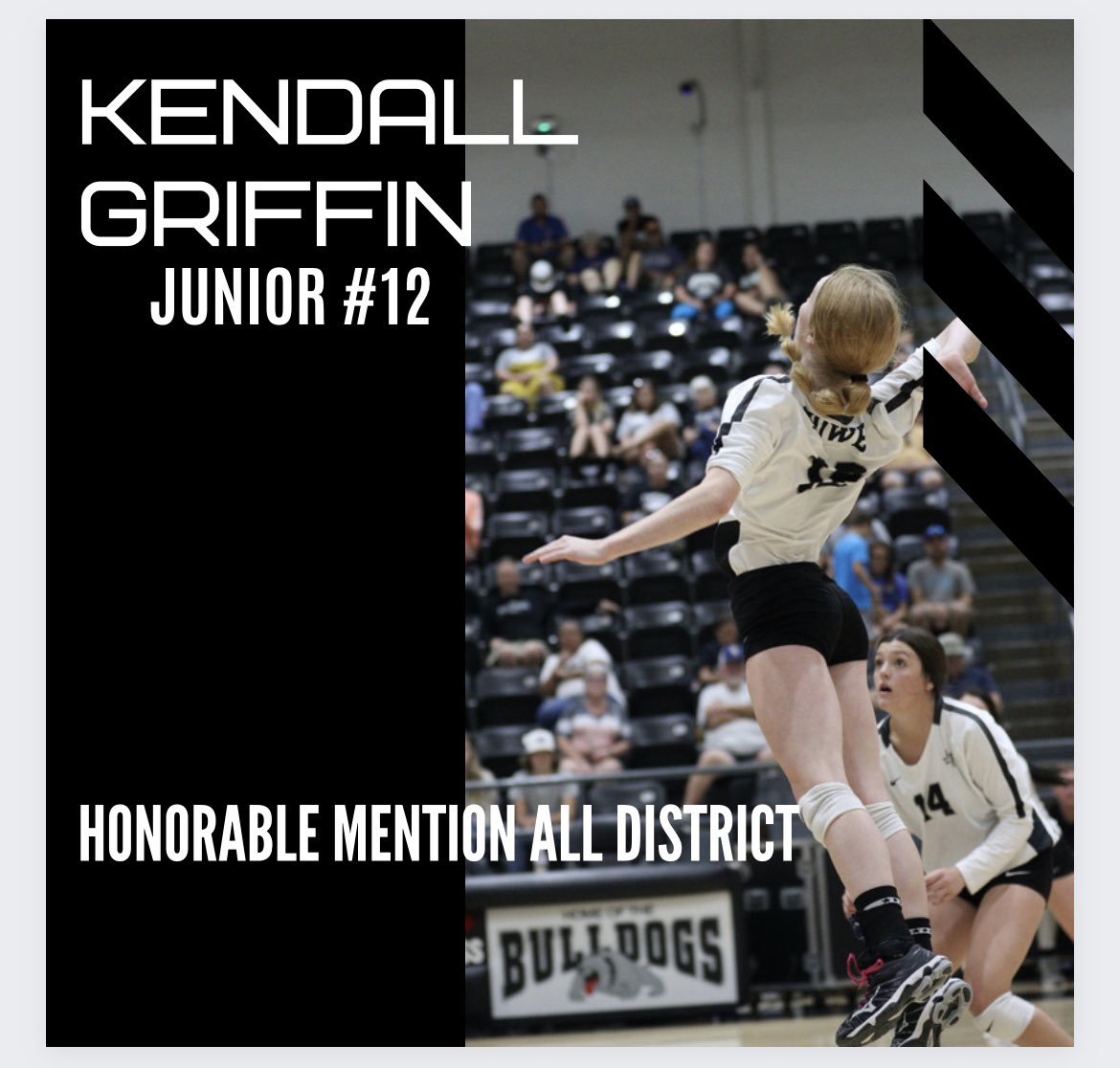 Howe Lady Bulldog Volleyball tweet media