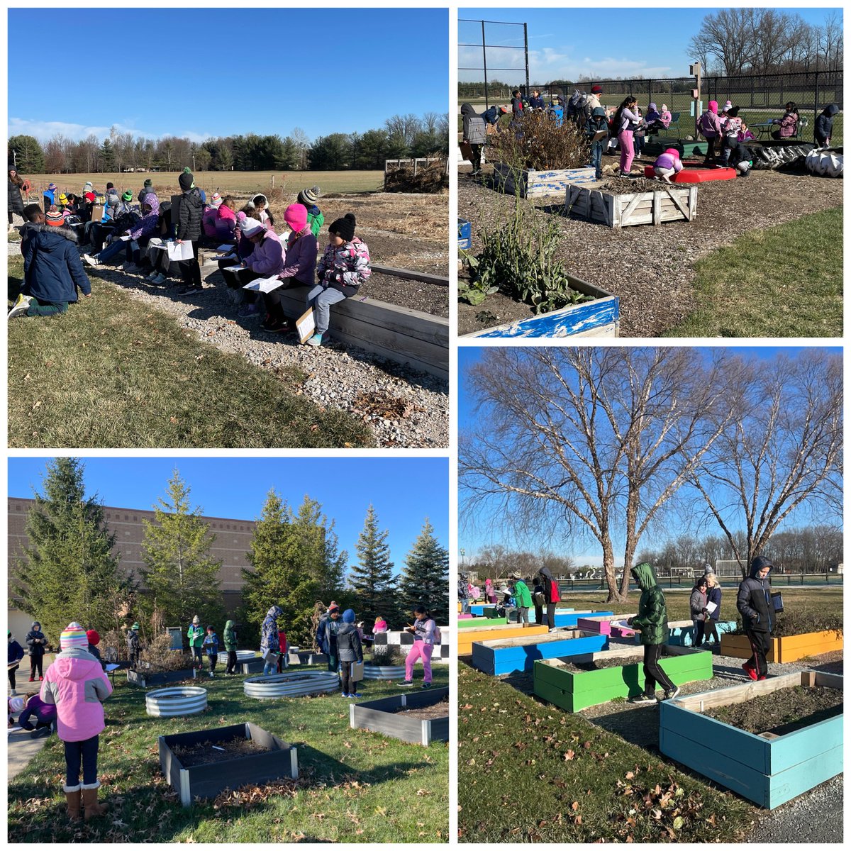 We researched garden spaces around @FishersParks and @HSESchools to help us solve the rotting wood problem in our TCE learning gardens. We saw a lot of great ideas that will inspire our garden project. @MrsPugel  #TCEcardinals #projectwork @FishersIN