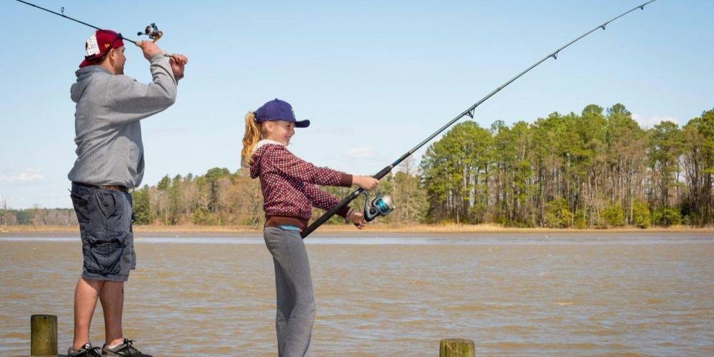 Rods and Lures tweet media