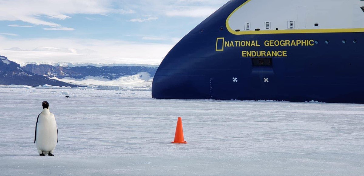 PersonalTravel_'s tweet image. Our agent Jenny Revesz is currently in Antartica with National Geographic! As you can imagine she is sharing some outstanding photos. However… we are posting one! This picture says it all! The emperor penguin is literally greeting the ship!  @NatGeoTravel @ensembletravel #Travel
