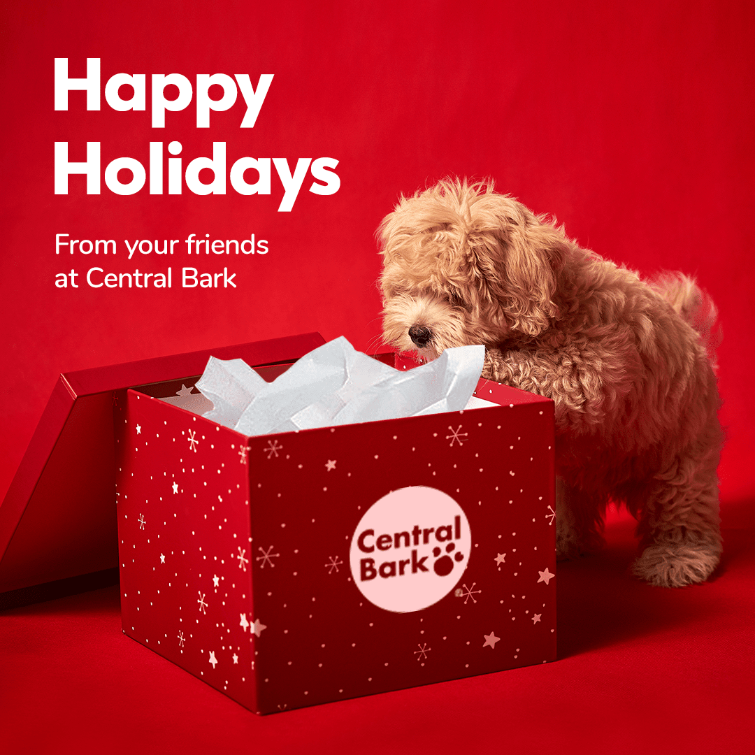 CBPhilly's tweet image. I know we are all very excited for holidays and have a lot of fun events coming up with friends and family. We consider you ALL to be our friends and family so we hope to see you here at Central Bark for our Open House Event on December 10, 2022 from 12-4. Please ask for details!