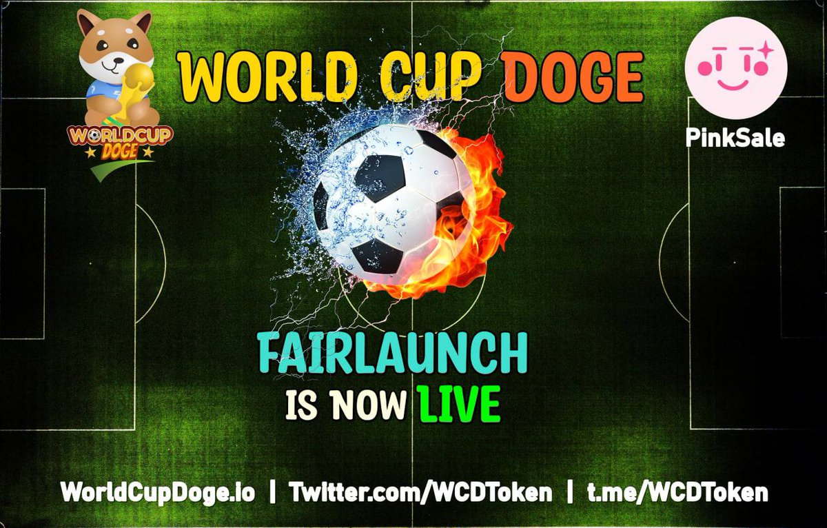 🔥 World Cup Doge 🔥

Fairlaunch is Now Live - pinksale.finance/launchpad/0xBA…