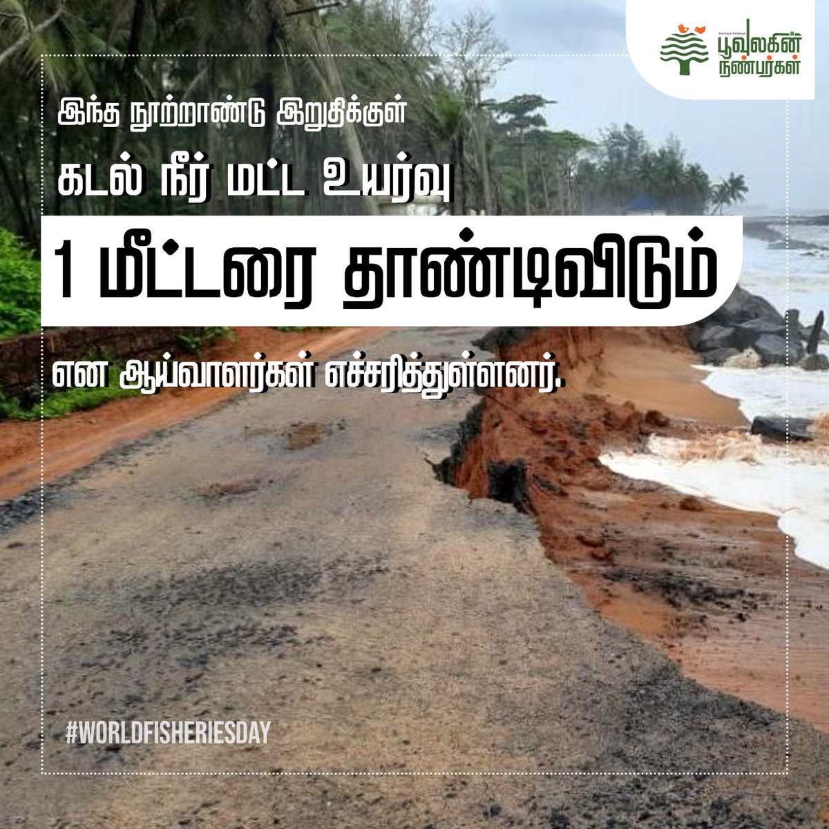 vasavasa07's tweet photo. காலநிலை மாற்றத்தின் காரணமாக கடந்த 40 வருடங்களில் கடலின் சராசரி வெப்ப நிலையானது 0.7 டிகிரி உயர்ந்துள்ளது . உலகெங்கும் வாழும் 150 மில்லியன் மக்கள் 1 மீட்டர்க்கு தாழ்வான பகுதிகளில் வசிக்கிறார்கள் . இதி��் பெரும்பான்மை மீனவர்களே ! #worldfisheriesday #worldfishing #coast #coastline https://t.co/ALx6wVxKcs