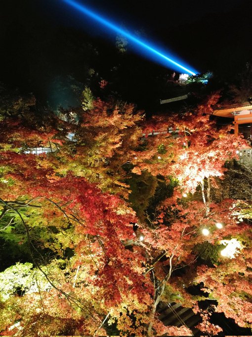 今年の紅葉を見納めてCG集出してからプッツリ燃え尽きてた心の充電が完了した気がするので、秋休みは終わりということで🍁
明日からまた頑張ろ〜☺️ 