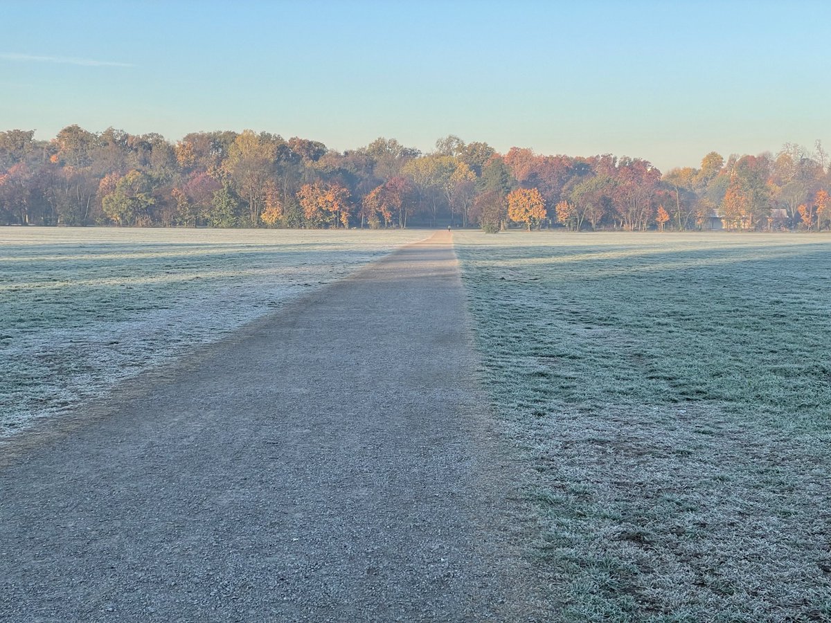 MikeMerisi's tweet image. Ho provato a dipingerlo ma mi si scioglieva la brina. Quindi me la sono cavata con una foto #mypainting