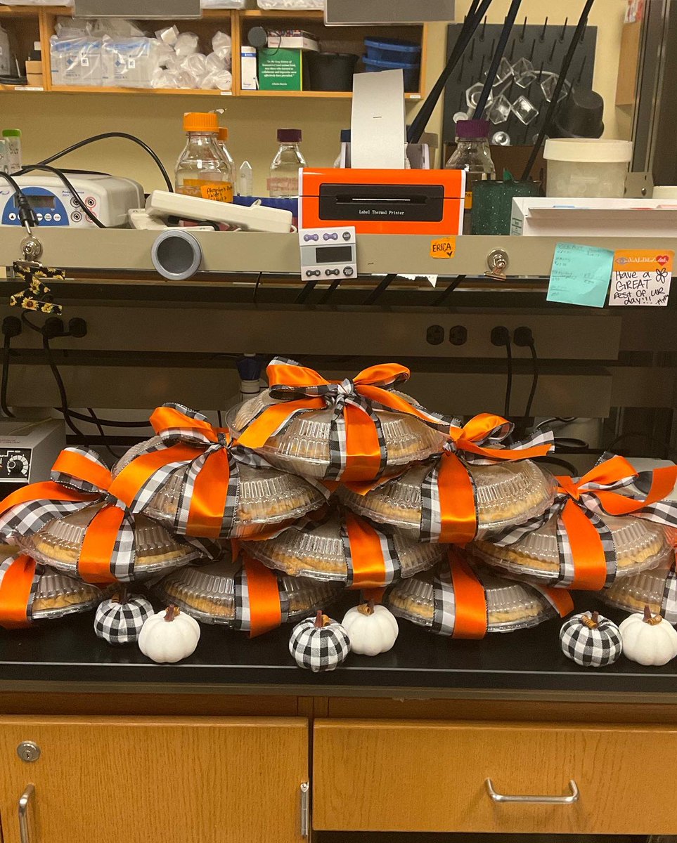 Thankful for the amazing people in my lab! Homemade pumpkin pies for everyone. 🥧 🦃 #ValdezLab #fightingblindness #thankful