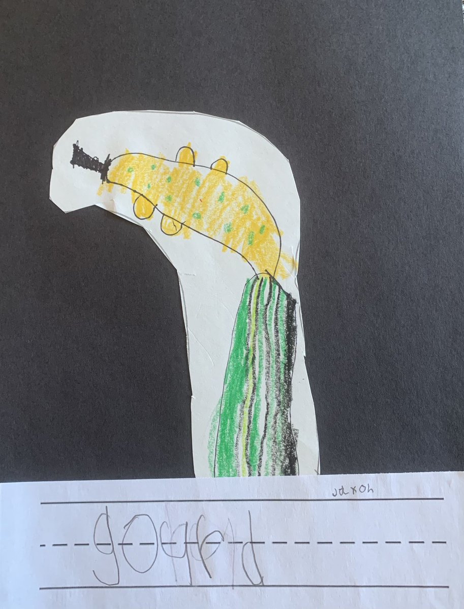 Lucie Cyliax tweet media