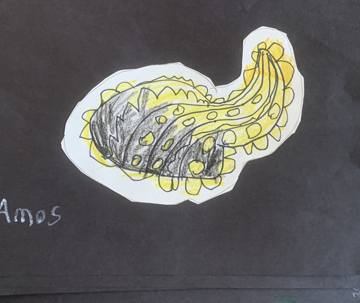 Lucie Cyliax tweet media