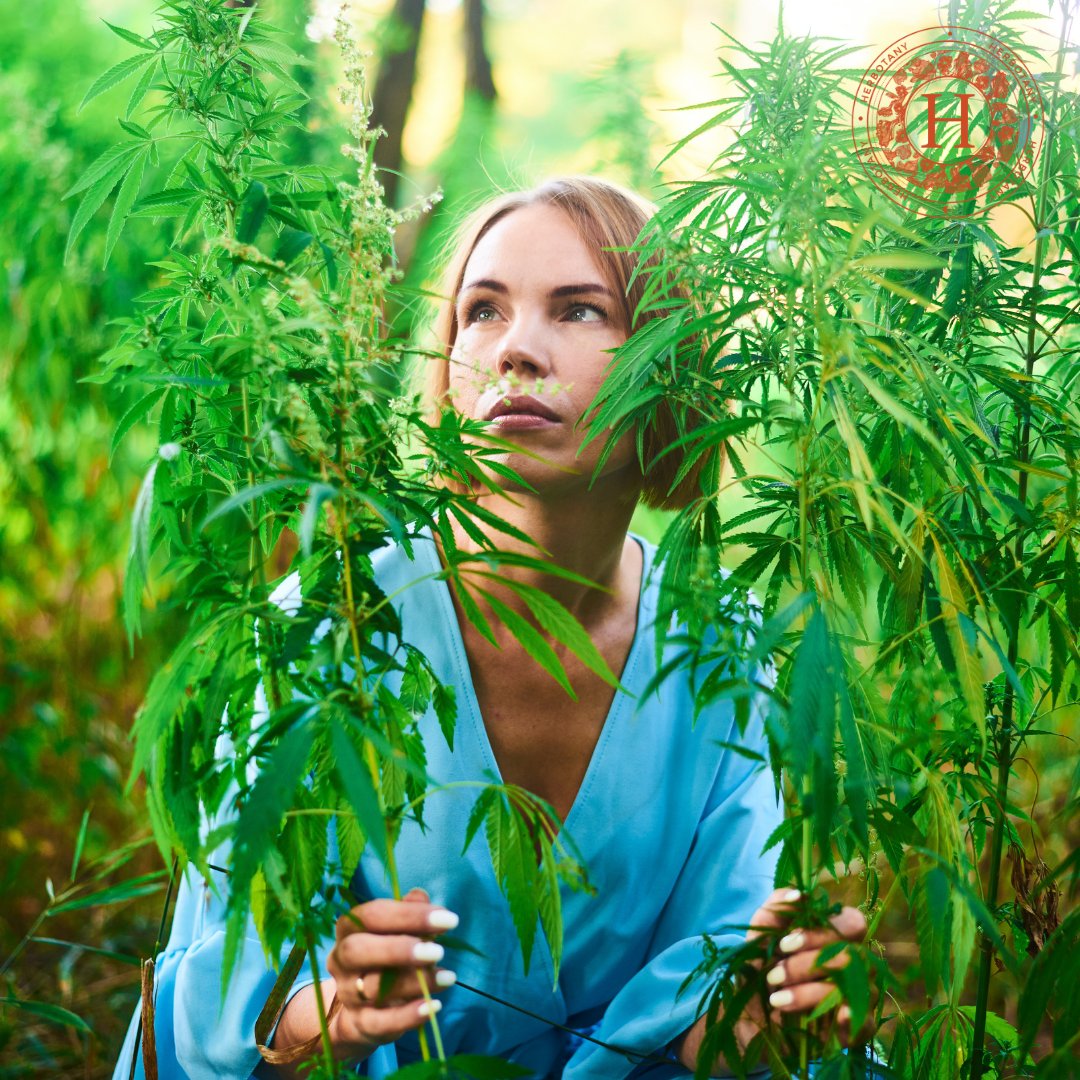 Reconnect with nature 🍃

We only use CBD that is extracted from organic hemp grown in the Bluegrass State of Kentucky, USA in all of our products. This ensures the products you consume are of the highest efficacy possible.

#CBD #Kentucky #natural #homegrown #cbdproducts