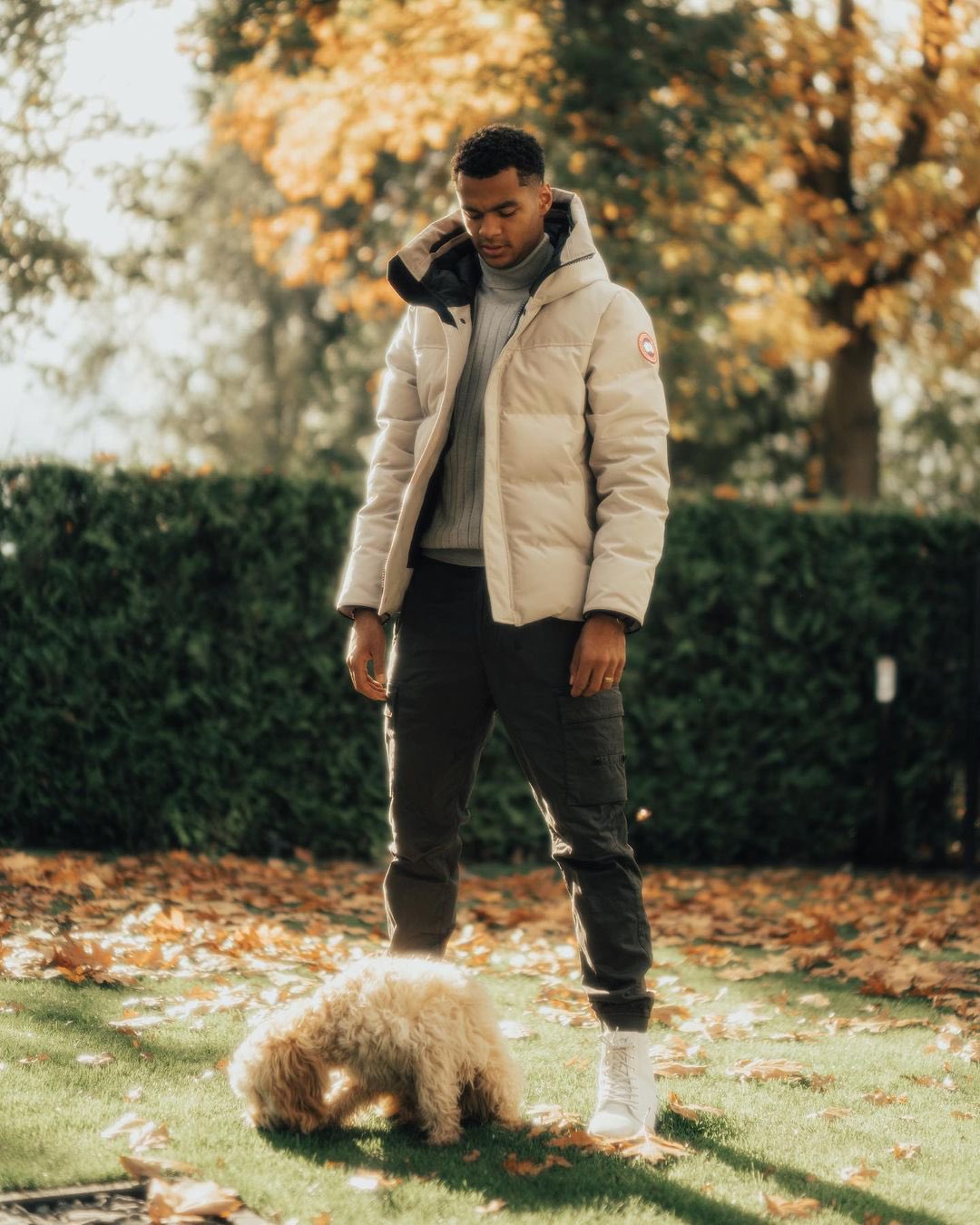 Cody Gakpo and girlfriend have great love for their poodle dog as they ...