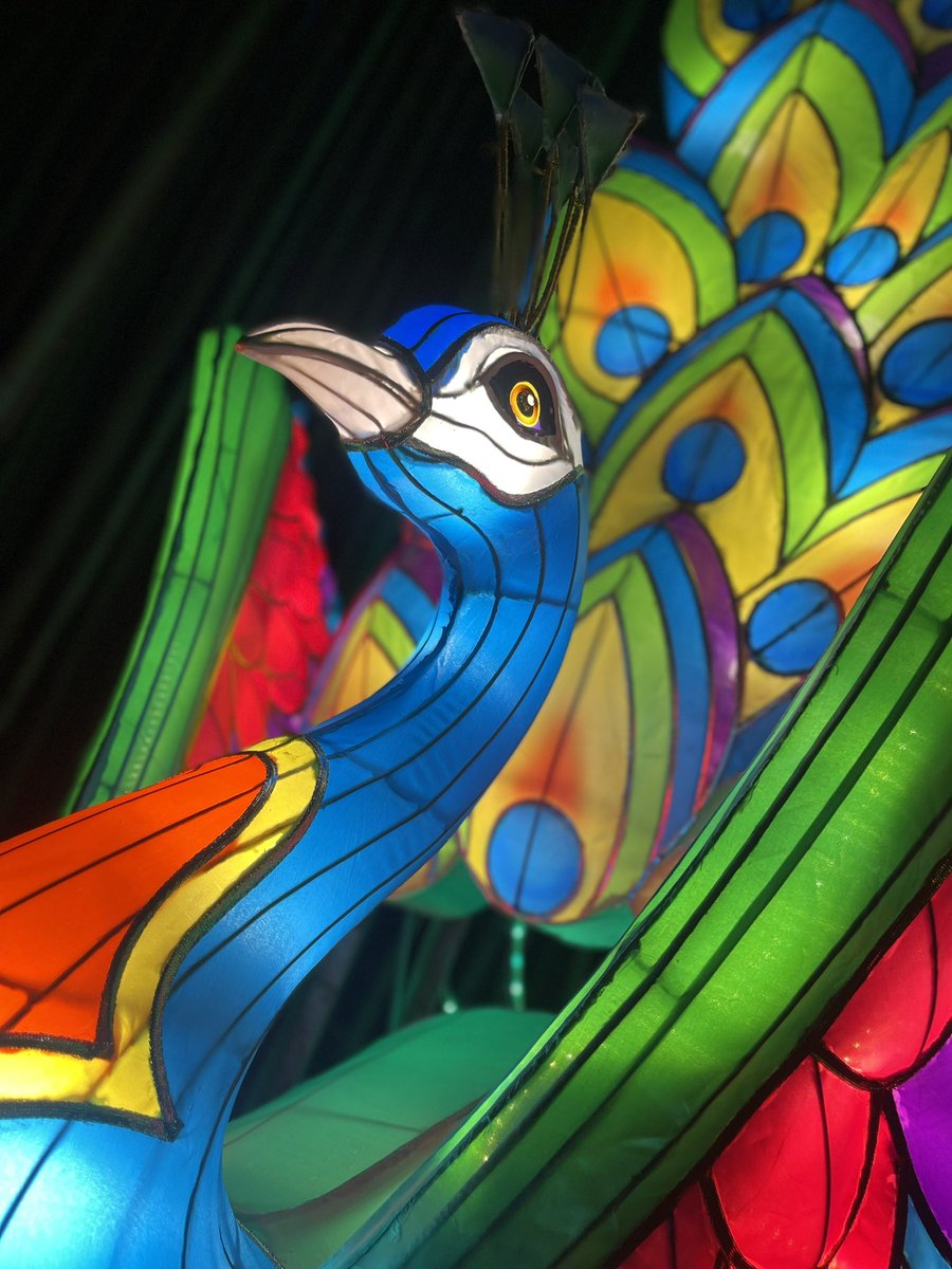 FOX 5 Atlanta on Twitter "RT JStaceonFOX5 The ZooATL IllumiNights