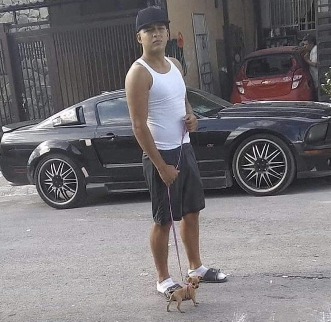 corridosybandas's tweet image. De paseo con la bestia