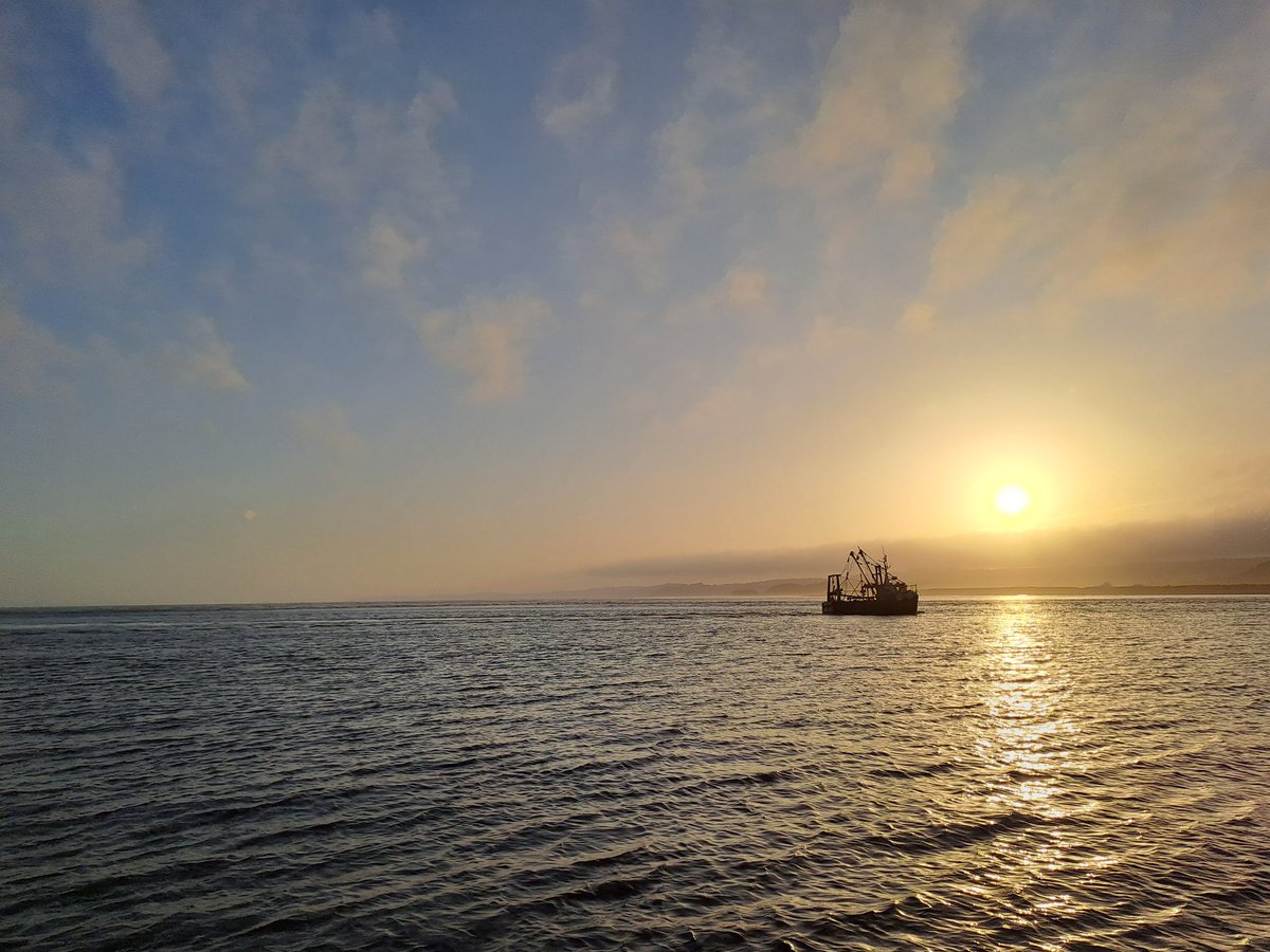 Catch of the day in Exmouth.