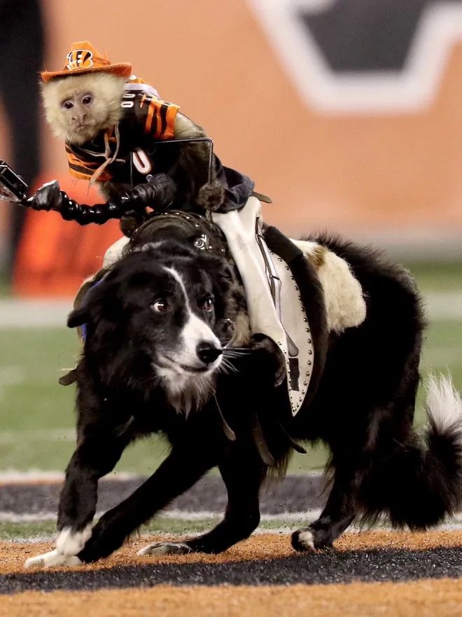 Perfume Genius tweet media