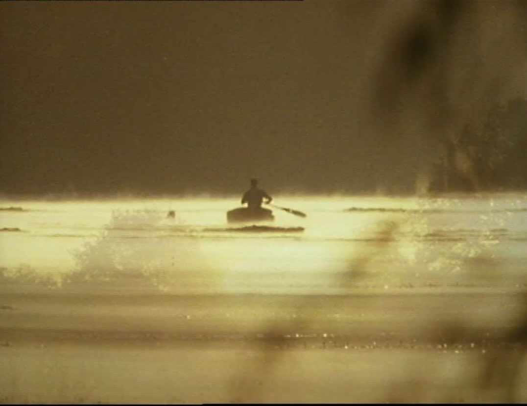 Alcoholic Guest tweet media