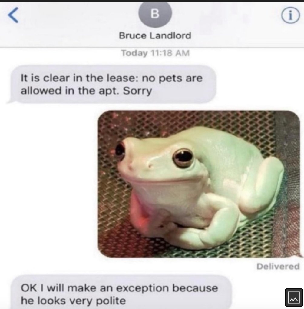 WholesomeMemes tweet media