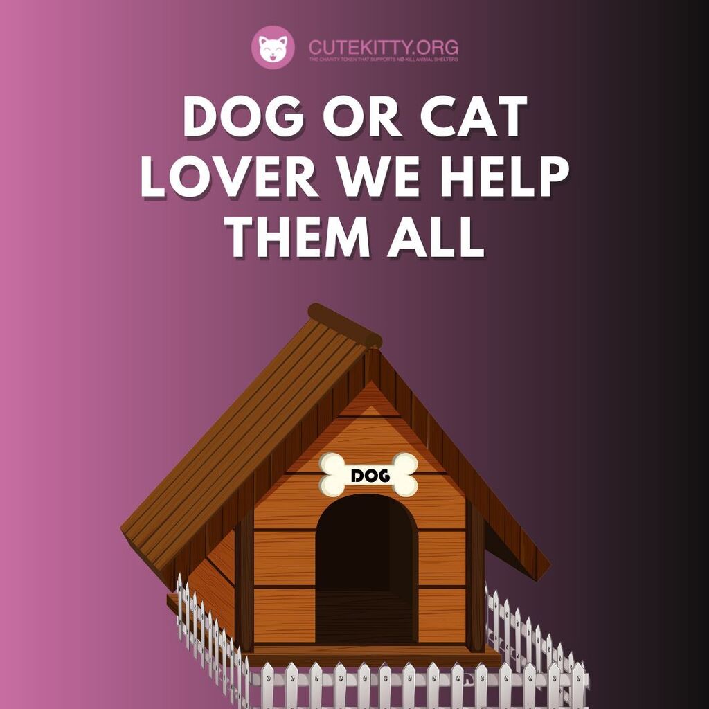 cutekittyorg's tweet photo. Help save someone’s new best friend
.
.
.
.
.
.
#helpcat #catsonly #catsforever #catsforlife #catloversworld #catsarethebest #catsworld #catloversworld #cryptocurrencytrade #cryptocurrencyinvesting #cryptocurrencysolution #cryptocurrencyrevolution #crypt… https://t.co/axRVVAVDF6 https://t.co/HRl22E8DMK
