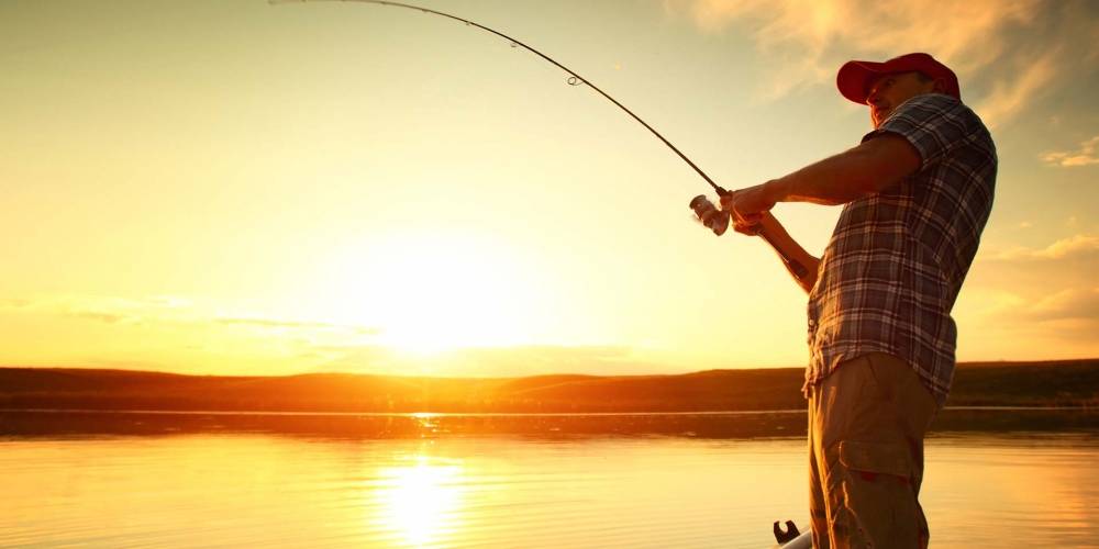Rods and Lures tweet media
