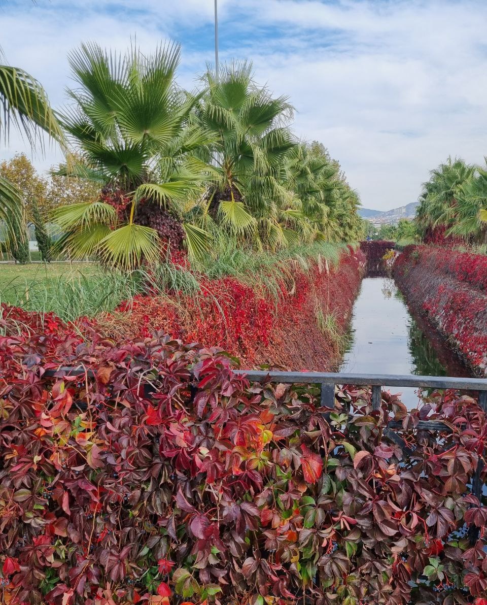 hamzakaramali's tweet photo. Fall in bloom by the Sea of Marmaray in Istanbul.
#Istanbul #Turkey #Ottoman #dailyislam #IslamicKnowledge #IslamicReminders #IslamicQuotes #muslimtiktok #whyislamistrue #basiraeducation #hamzakaramali https://t.co/j31NGUKy6P