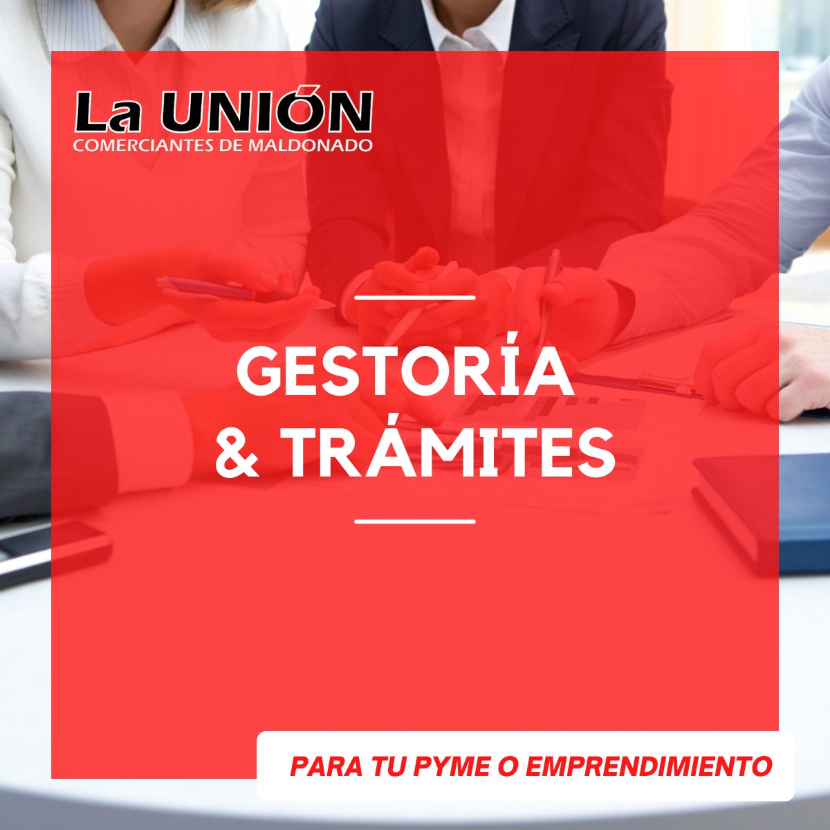 UDCMaldonado's tweet photo. Nos ocupamos de todo que tu emprendimiento o PYME necesita, contamos con profesionales que te van a estar asesorando en todo momento.

No dudes en consultarnos.

☎️ 42227212 📲091 227 285
📍Ventura Alegre entre Rincón y San Carlos

#unión #comerciantes #minoristas #maldonado https://t.co/t8C86CiaJR