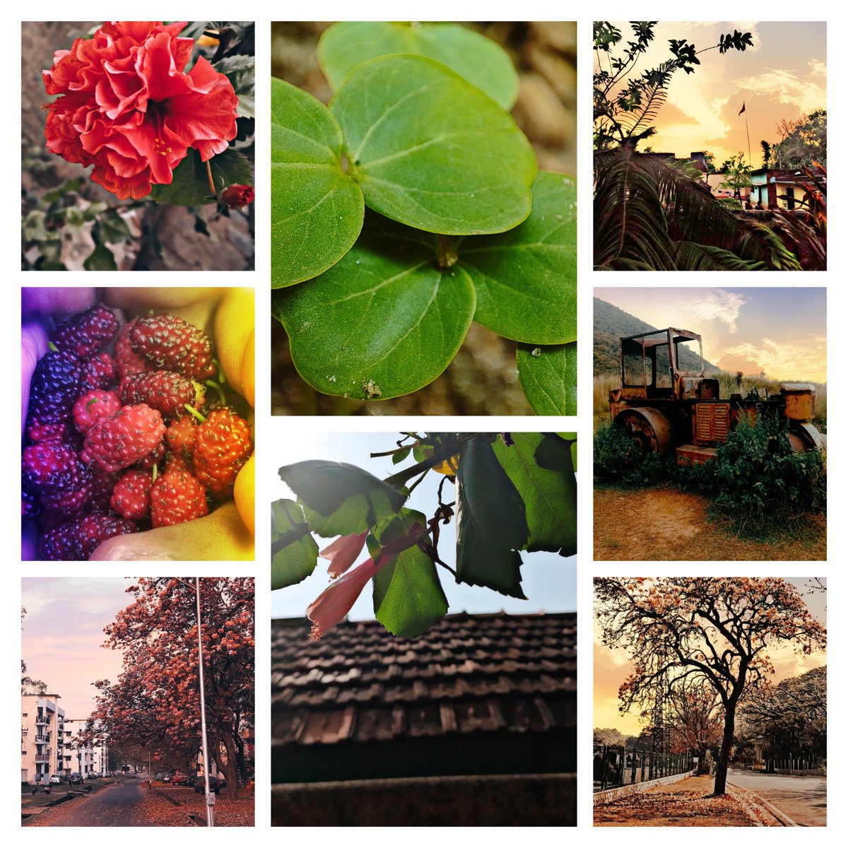 VisionA123B's tweet photo. @jfx The Eutierria collection
1/1 photograph nfts
Check out👇
https://t.co/m8yNxABt3a https://t.co/PNT5UfJbSe
