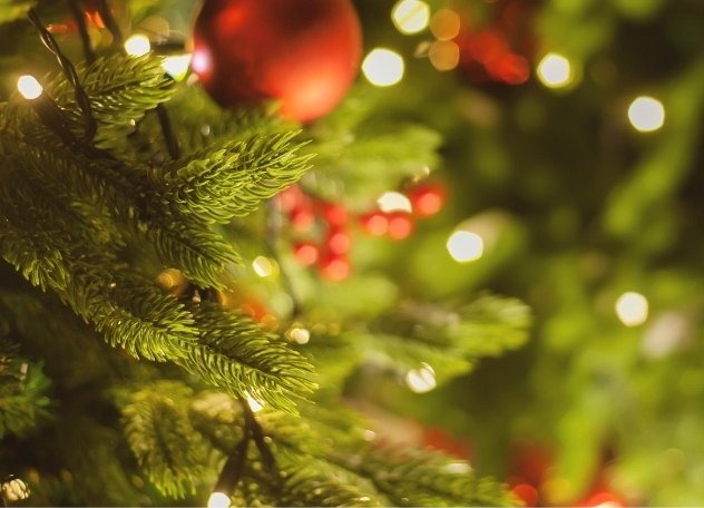 MdH is happy to offer colorful Pointsettias, wreaths and holiday arrangements for sale to our community. Don't miss your chance to order some gorgeous holiday arrangements for yourself, family, friends and neighbors!  
Please visit …nedhouet.growingsmilesfundraising.com/home to order by November 22.