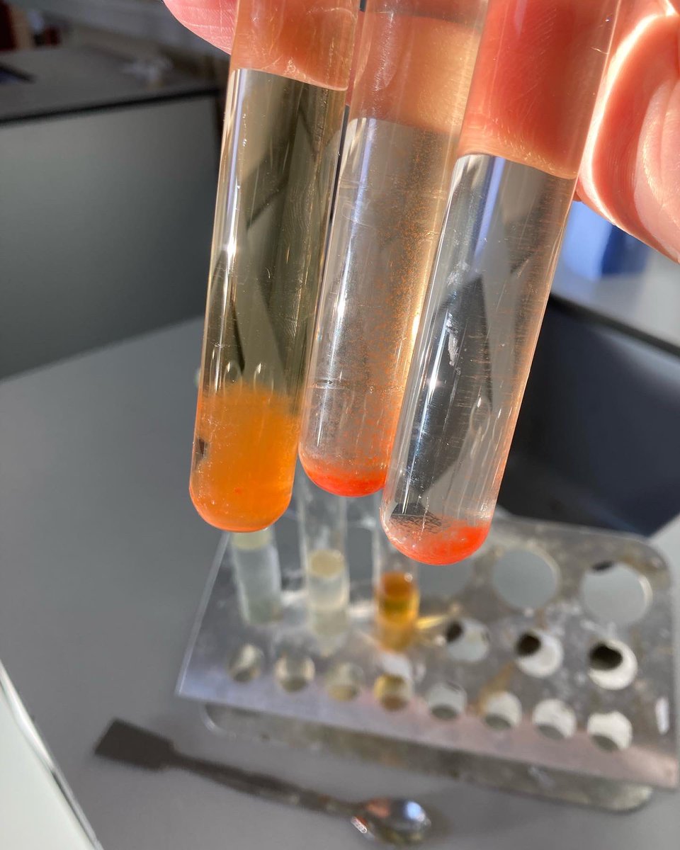 MuinteoirMean's tweet photo. Táscairí déanta as torthaí agus glasraí 🌈
#acidbaseindicators #acidsandbases #stem #eolaíocht https://t.co/XX91szOPQx