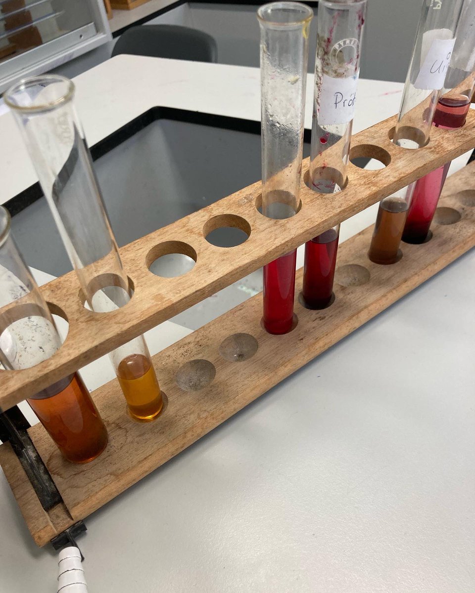 MuinteoirMean's tweet photo. Táscairí déanta as torthaí agus glasraí 🌈
#acidbaseindicators #acidsandbases #stem #eolaíocht https://t.co/XX91szOPQx