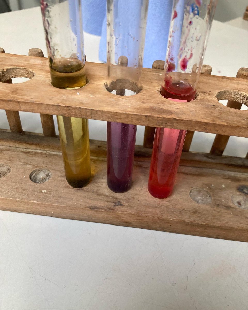 MuinteoirMean's tweet photo. Táscairí déanta as torthaí agus glasraí 🌈
#acidbaseindicators #acidsandbases #stem #eolaíocht https://t.co/XX91szOPQx
