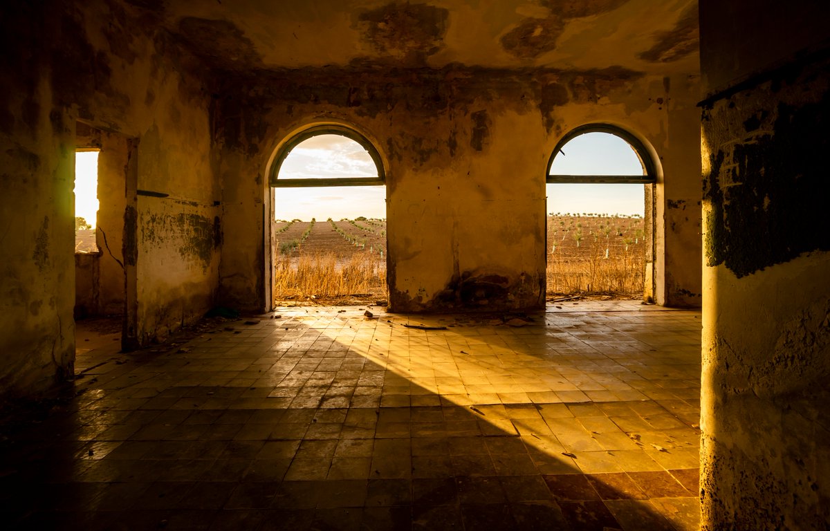 Moj & Con ⚫ tweet media