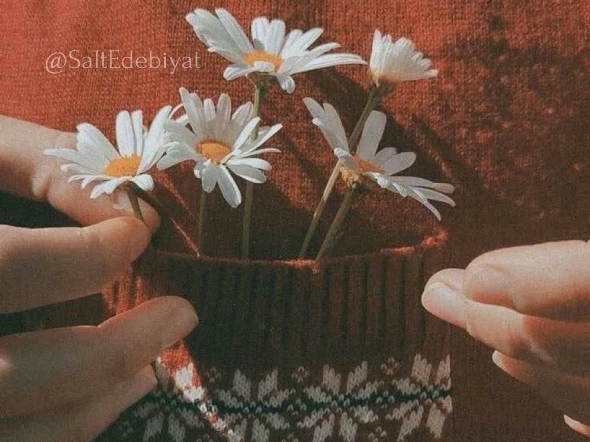 Bazen beklemek lazım en güzeli için…

Şeker Portakalı