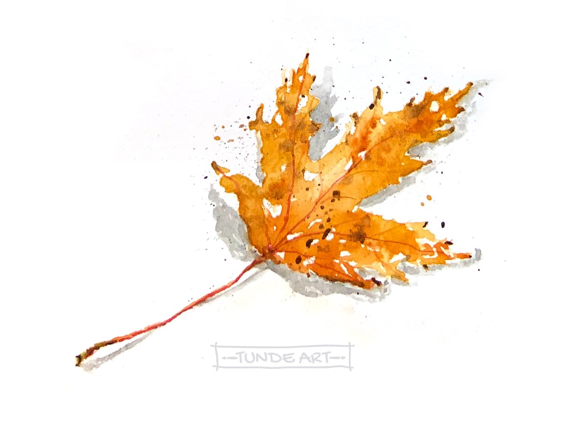 Silver maple leaf in my sketchbook.
#watercolour #sketchbook #silvermaple #maple #autumn #fall #tundeart #autumncolour