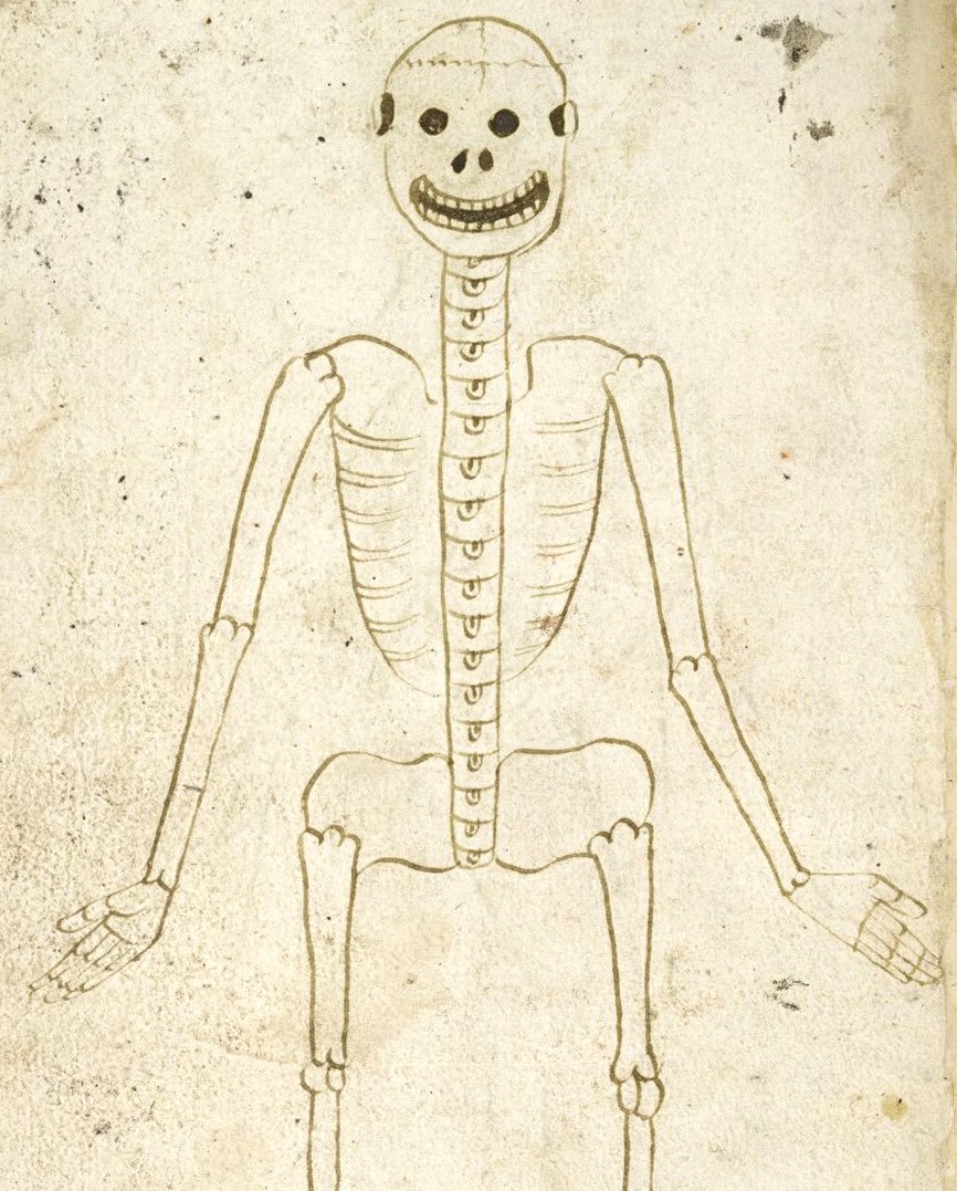 skeleton, england, 15th century