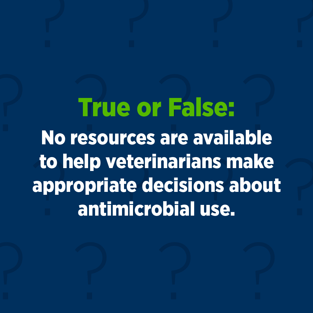 Tweet by AVMA (American Veterinary Medical Association)