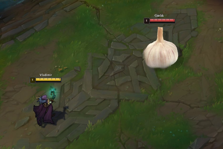 IKeepItTaco's tweet photo. I picked Vladimir and they counter picked Garlic ffs https://t.co/2l9aY3KPvG