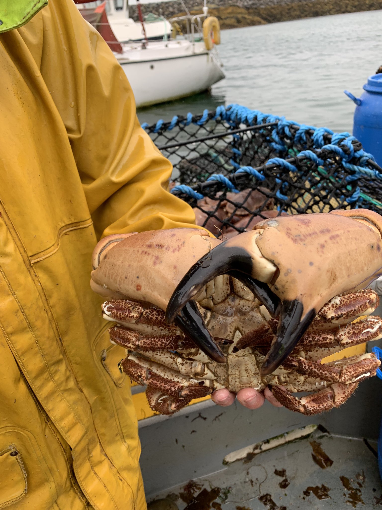 David Steele on Twitter: