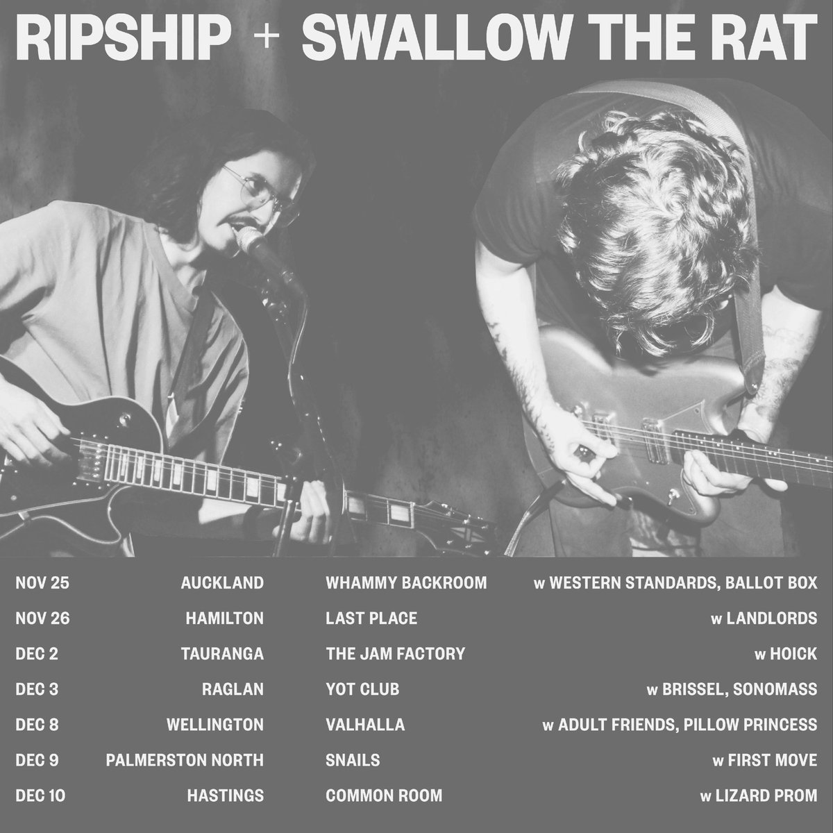Swallow the Rat tweet media