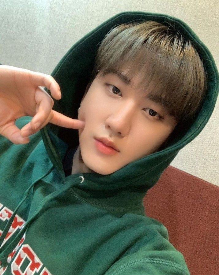 seobinniws's tweet photo. OIIIII 💚 sou o changbin do @projetoskzbr, espero que possamos interagir mt cambada https://t.co/9IM49RwtFx